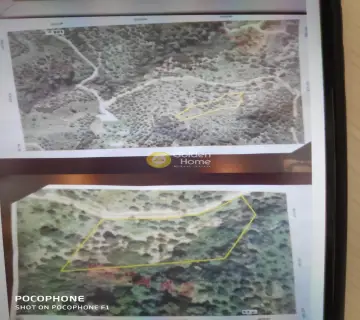 Έκταση 4830τ.μ. προς πώληση φωτογραφία 1737099