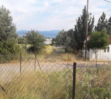 Residential 603m<sup>2</sup> for sale photo 2