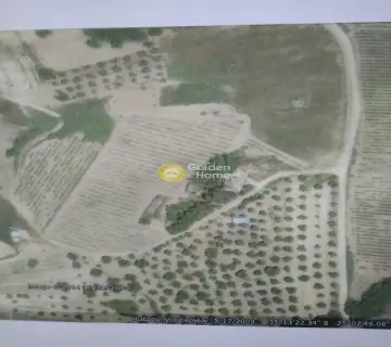 土地 60000m<sup>2</sup> for sale photo 2
