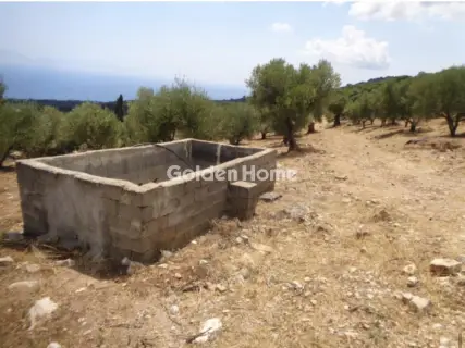 Αγροτεμάχιο 38605τ.μ. προς πώληση φωτογραφία 6