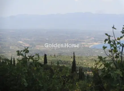 Αγροτεμάχιο 38605τ.μ. προς πώληση φωτογραφία 2