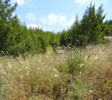 Οικιστικό 986τ.μ. προς πώληση φωτογραφία 9