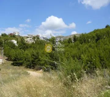 Οικιστικό 984τ.μ. προς πώληση φωτογραφία 10