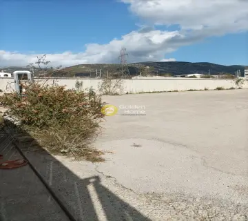 Industrial 7200m<sup>2</sup> for rent photo 3027967