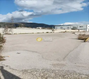 Industrial 7200m<sup>2</sup> for rent photo 3027965