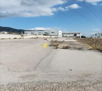 Industrial 7200m<sup>2</sup> for rent photo 3027968