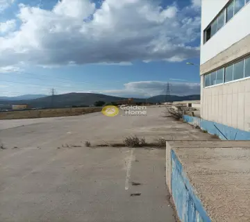 Industrial 7200m<sup>2</sup> for rent photo 3028004