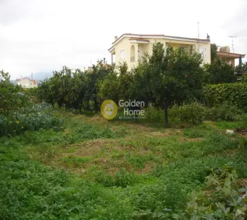 Residential 1040m<sup>2</sup> for sale photo 4