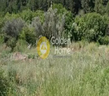 Parcel 10000m<sup>2</sup> for sale photo 1815089