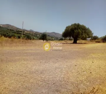 Αγροτεμάχιο 4400τ.μ. προς πώληση φωτογραφία 4