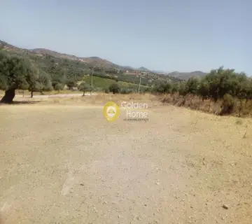 Αγροτεμάχιο 4400τ.μ. προς πώληση φωτογραφία 5