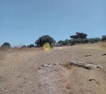 Αγροτεμάχιο 4400τ.μ. προς πώληση φωτογραφία 6