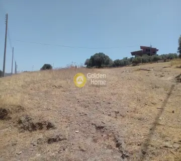 Αγροτεμάχιο 4400τ.μ. προς πώληση φωτογραφία 7