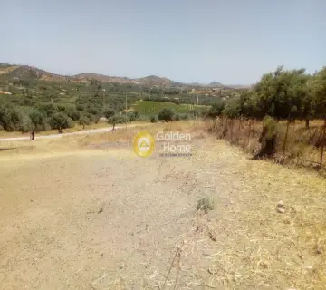 Αγροτεμάχιο 4400τ.μ. προς πώληση φωτογραφία 8