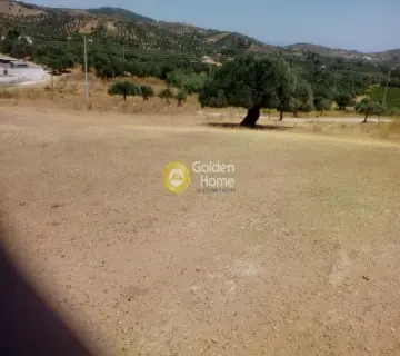 Αγροτεμάχιο 4400τ.μ. προς πώληση φωτογραφία 1