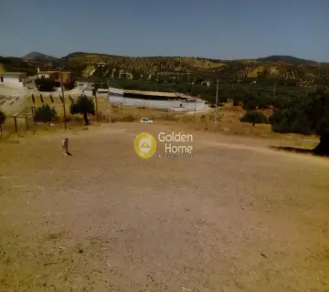 Αγροτεμάχιο 4400τ.μ. προς πώληση φωτογραφία 2