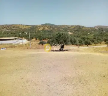 Αγροτεμάχιο 4400τ.μ. προς πώληση φωτογραφία 10