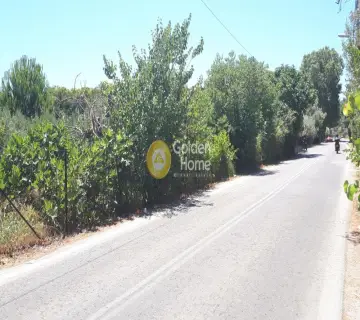 Επαγγελ. Οικόπεδο 2133τ.μ. προς πώληση φωτογραφία 3