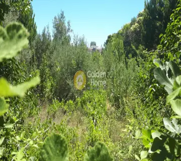 Επαγγελ. Οικόπεδο 2133τ.μ. προς πώληση φωτογραφία 4