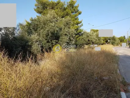 住宅 332m<sup>2</sup> for sale photo 1