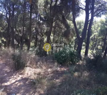Οικιστικό 1349τ.μ. προς πώληση φωτογραφία 1