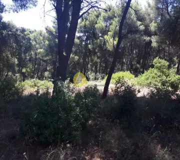 Οικιστικό 1349τ.μ. προς πώληση φωτογραφία 6