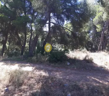 Οικιστικό 1349τ.μ. προς πώληση φωτογραφία 3