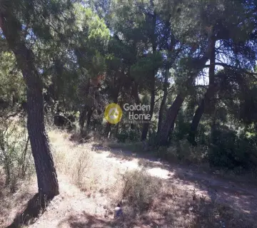 Οικιστικό 1349τ.μ. προς πώληση φωτογραφία 2