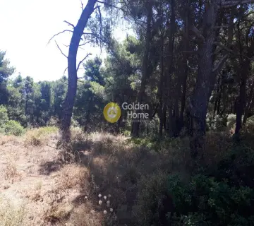 Οικιστικό 1349τ.μ. προς πώληση φωτογραφία 7
