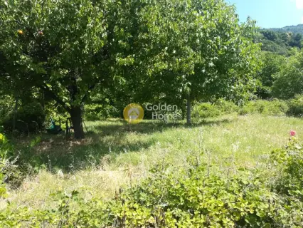 Οικιστικό 3156τ.μ. προς πώληση φωτογραφία 1753760