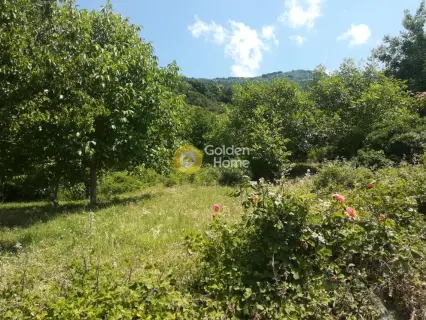 Οικιστικό 3156τ.μ. προς πώληση φωτογραφία 1753761