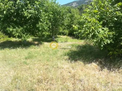 Οικιστικό 3156τ.μ. προς πώληση φωτογραφία 1753764