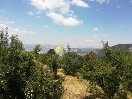 Οικιστικό 3156τ.μ. προς πώληση φωτογραφία 1753767