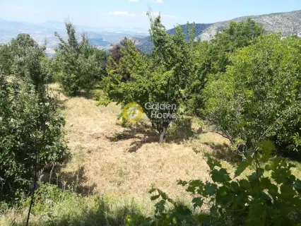 Οικιστικό 3156τ.μ. προς πώληση φωτογραφία 1753768