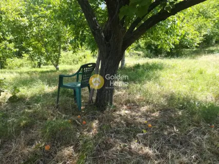 Οικιστικό 3156τ.μ. προς πώληση φωτογραφία 1753769