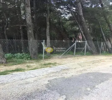 Οικιστικό 1031τ.μ. προς πώληση φωτογραφία 1