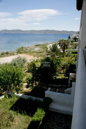 Κτίριο 220τ.μ. προς πώληση φωτογραφία 26
