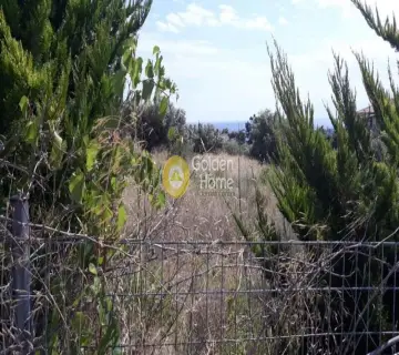 Parcel 5500m<sup>2</sup> for sale photo 6