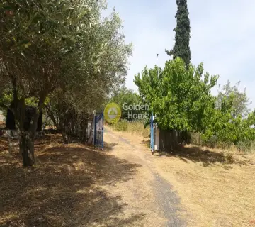 House 75m<sup>2</sup> for sale photo 59
