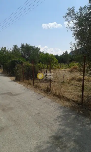 Residential 1000m<sup>2</sup> for sale photo 2