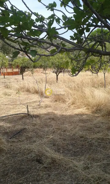 Residential 1000m<sup>2</sup> for sale photo 6