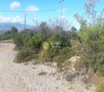 Residential 9300m<sup>2</sup> for sale photo 3486275