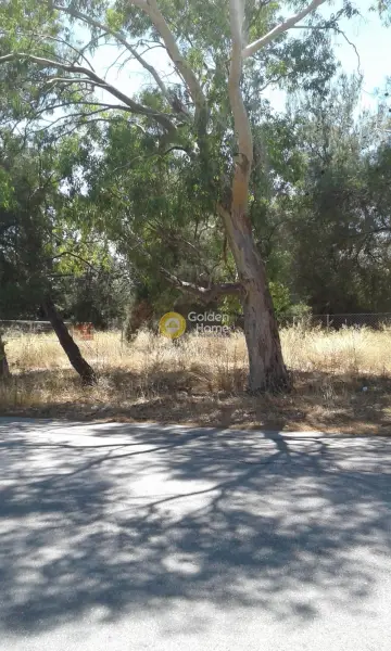Residential 2500m<sup>2</sup> for sale photo 1