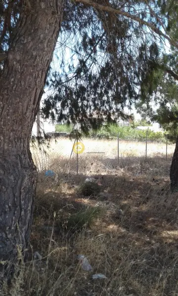 Residential 2500m<sup>2</sup> for sale photo 2