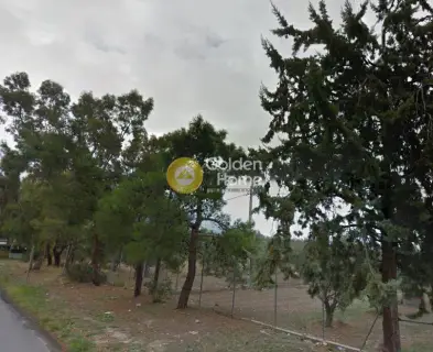 Οικιστικό 2500τ.μ. προς ενοικίαση φωτογραφία 1