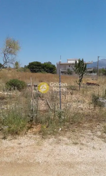 Οικιστικό 2500τ.μ. προς ενοικίαση φωτογραφία 1