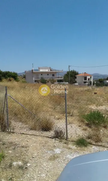 Οικιστικό 2500τ.μ. προς ενοικίαση φωτογραφία 3