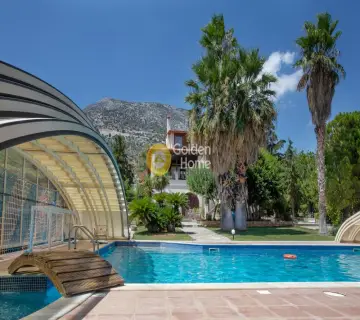 Golden Home Property Image