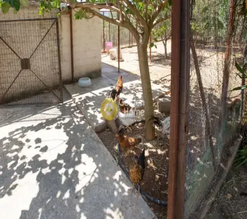 Independent Maisonette 340m<sup>2</sup> for sale photo 154