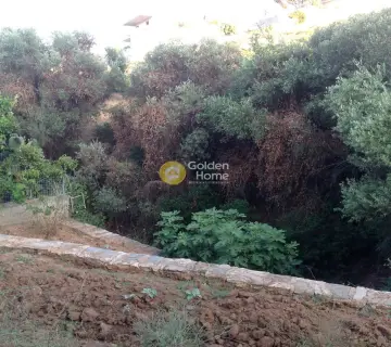 Οικιστικό 550τ.μ. προς πώληση φωτογραφία 1776814